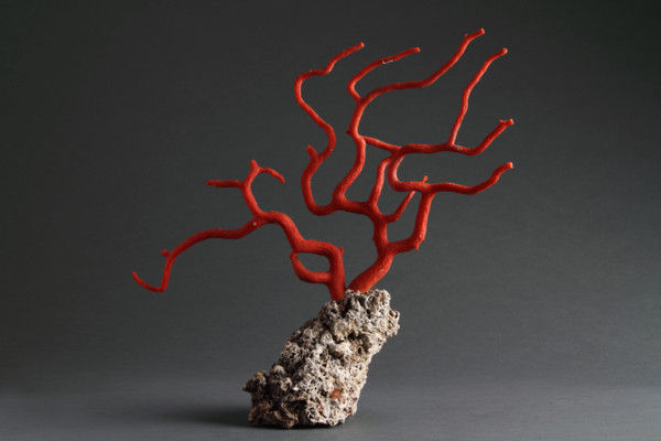 Antique Natural Specimen of a Branch of Red Coral